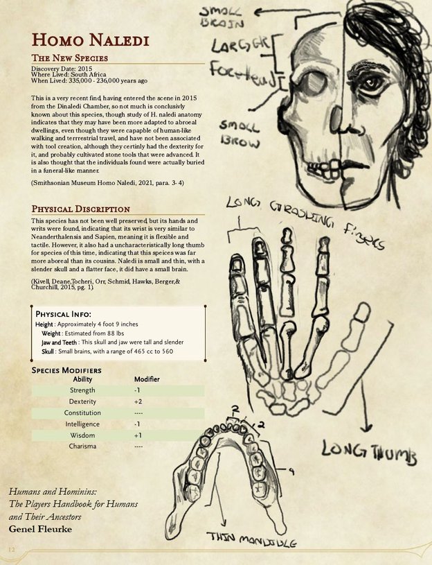 The Player's Handbook for Humans and Their Ancestors