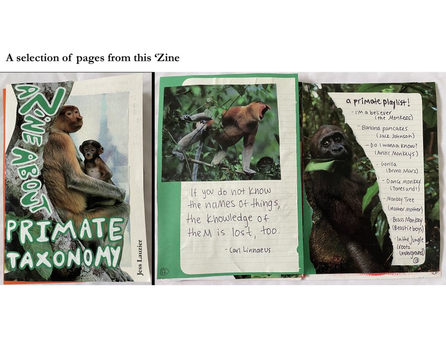Jess Lauzier - A Zine About Primate Taxonomy.jpg