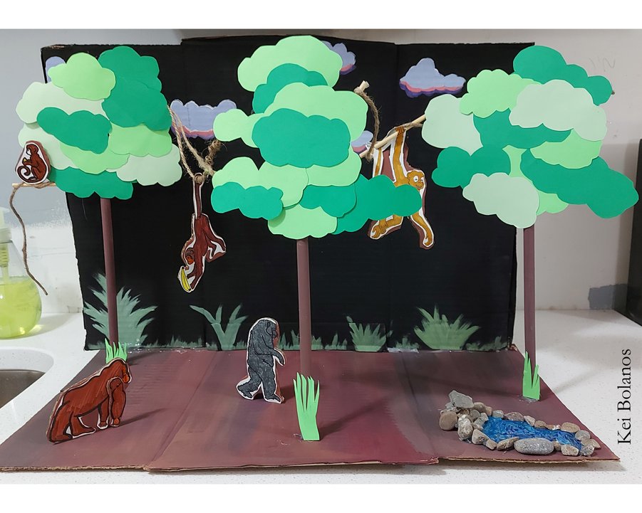 Kei Bolanos - Primate mobility diorama.jpg
